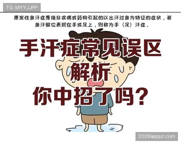足球黄牌规则详解：判罚标准与常见误区解析