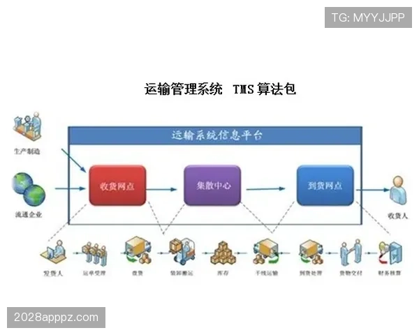 穆西亚拉的成长路径与能力上限解析